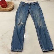 Everlane Distressed‎ Jeans