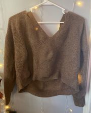 Light Brown Sweater