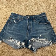 Levi’s 501 Jeans Shorts