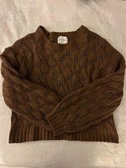 Brown Sweater