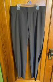 Athleisure Dress Pants 12T