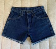 Vintage Denim Shorts