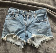 501 Shorts