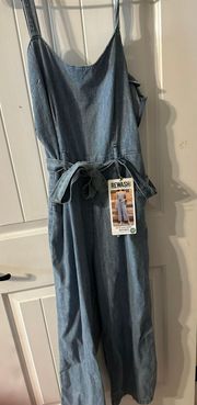 TJmaxx Denim Jumpsuit