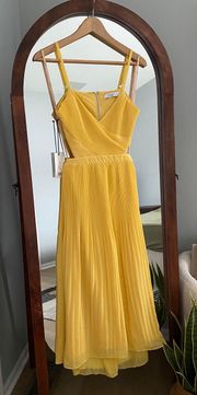 Chiffon Midi Dress NWT