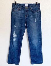 Big Star Nova XVI Kate Straight Distressed Jeans
