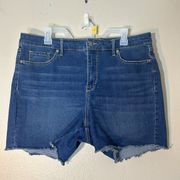 Gloria Vanderbilt Blue Denim Jean Cut Off Shorts Size 16 Raw Hem 5” Inseam