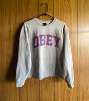 Gray Obey Shirt / Hoodie