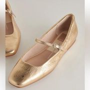 NEW IN BOX DOLCE VITA REYES BALLET FLATS