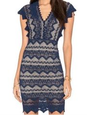 Nightcap Antoinette Lace Dress In Navy Nude 2