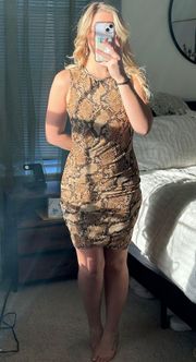 Snakeskin Dress