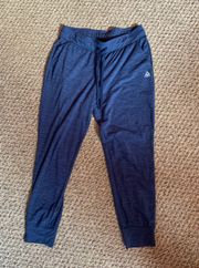 Reebok Sweatpants / Joggers