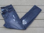 Torrid Premium Denim Distressed Straight Fit Jeans