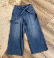 Anthropologie pilcro and the letterpress Paperbag wide leg crop pants