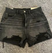 American Eagle Outfitters Shorts