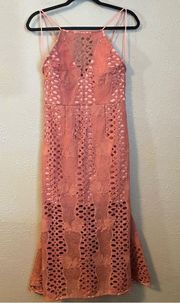 Endless Rose Mermaid Fit Lace Dress in Azalea Pink Small