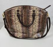 Brahmin Duxbury Women Shoulder Bag Brown Snakeskin Leather Satchel w/ Dust Cover