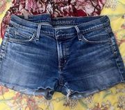 dsgners Jean shorts sz 31