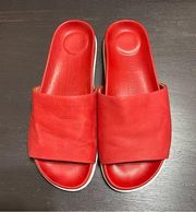 🍒 Red Leather Slides