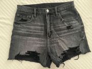 American Eagle Outfitters Shorts