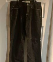 Ann Taylor LOFT "Original Boot" Jeans