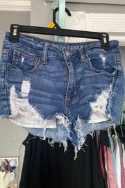 Outfitters Jean Shorts