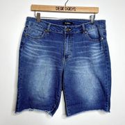 D. Jeans Bermuda Denim Jean Shorts