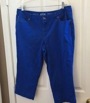 Ladies apt.9 cropped Jeans 16w