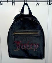NWT Juicy Couture Velour Liquorice Big Spender Backpack
