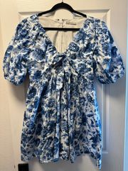 Blue and White Puff Sleeved Dress