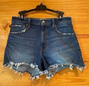 Abercrombie & Fitch  The Cutoff Short High Rise Denim Jean Shorts 27