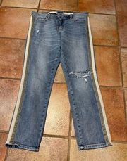 Pilcro and the Letterpress Nova striped ankle jeans size 29