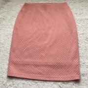 Pink Pencil Skirt