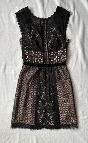 Boutique  Floral Lace Sleeveless Dress in Black/Nude - Size 4 Aeffe NWT