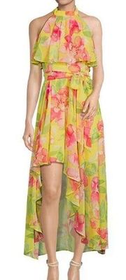 NWOT Eliza J Floral Halter Neck Popover High/Low
Sleeveless Dress Size 14