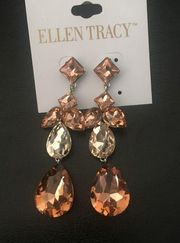 Ellen Tracy Amber Elegant Earrings