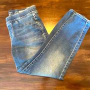 Signature by Levi Strauss Women's Totally Shaping Pull-on Skinny Jeans sz 12S