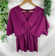 Greylin fuscia chiffon top