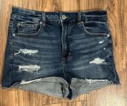 American Eagle Shorts (Stretch)