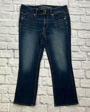 American Eagle artist crop jean