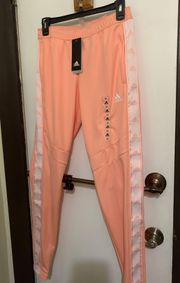 Sweatpants Joggers