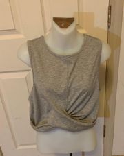 Large  Gray Crop Top