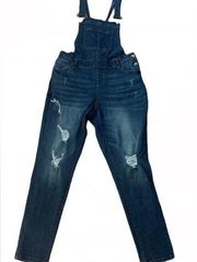 Wax Denim Distressed Overall Jeans, 1X
