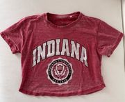 Indiana Vintage Burnout Crop