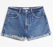 Abercrombie & Fitch High Rise Mom Shorts, size 29/8