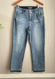 Democracy Women's Ab Solution Blue Jeans Size 12 High Rise Ankle-Length Zip Fly