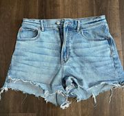 Outfitters Jean Shorts