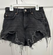 Festival Shorts