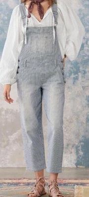 Driftwood Railroad Striped Denim Bib Overalls Boho Straight Jeans Size Large