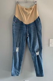 Maternity Full Panel Belly Distressed Straight Leg Ankle Jeans 1x